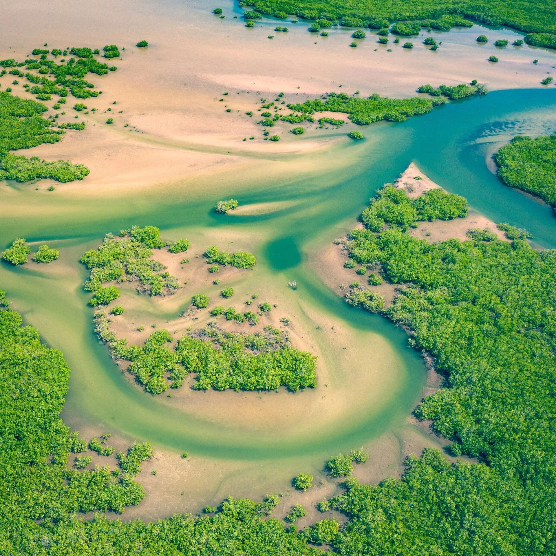 Aerial view of a tidal delta with braided channels