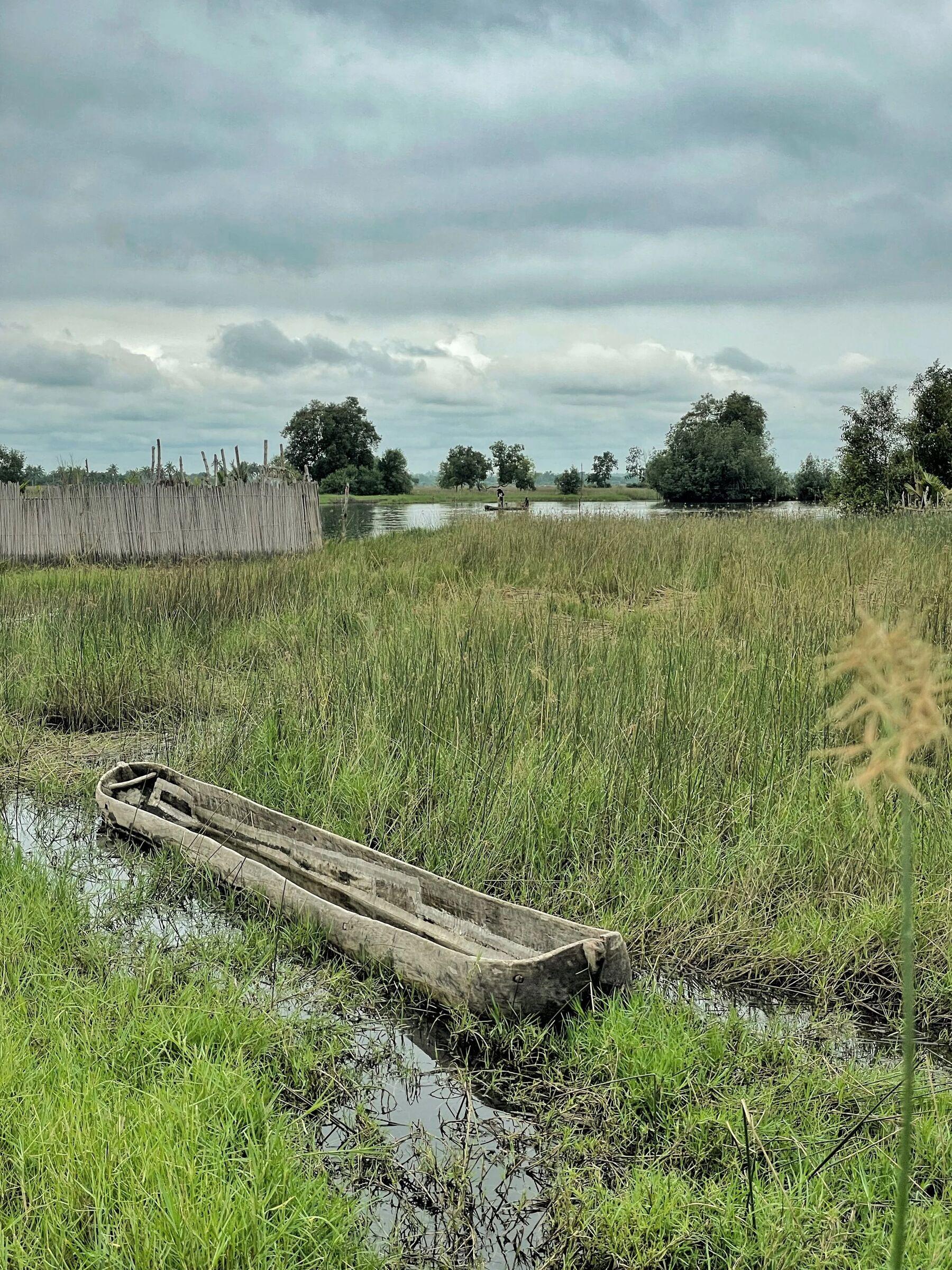 A dugout canoe resting in a coastal wetland