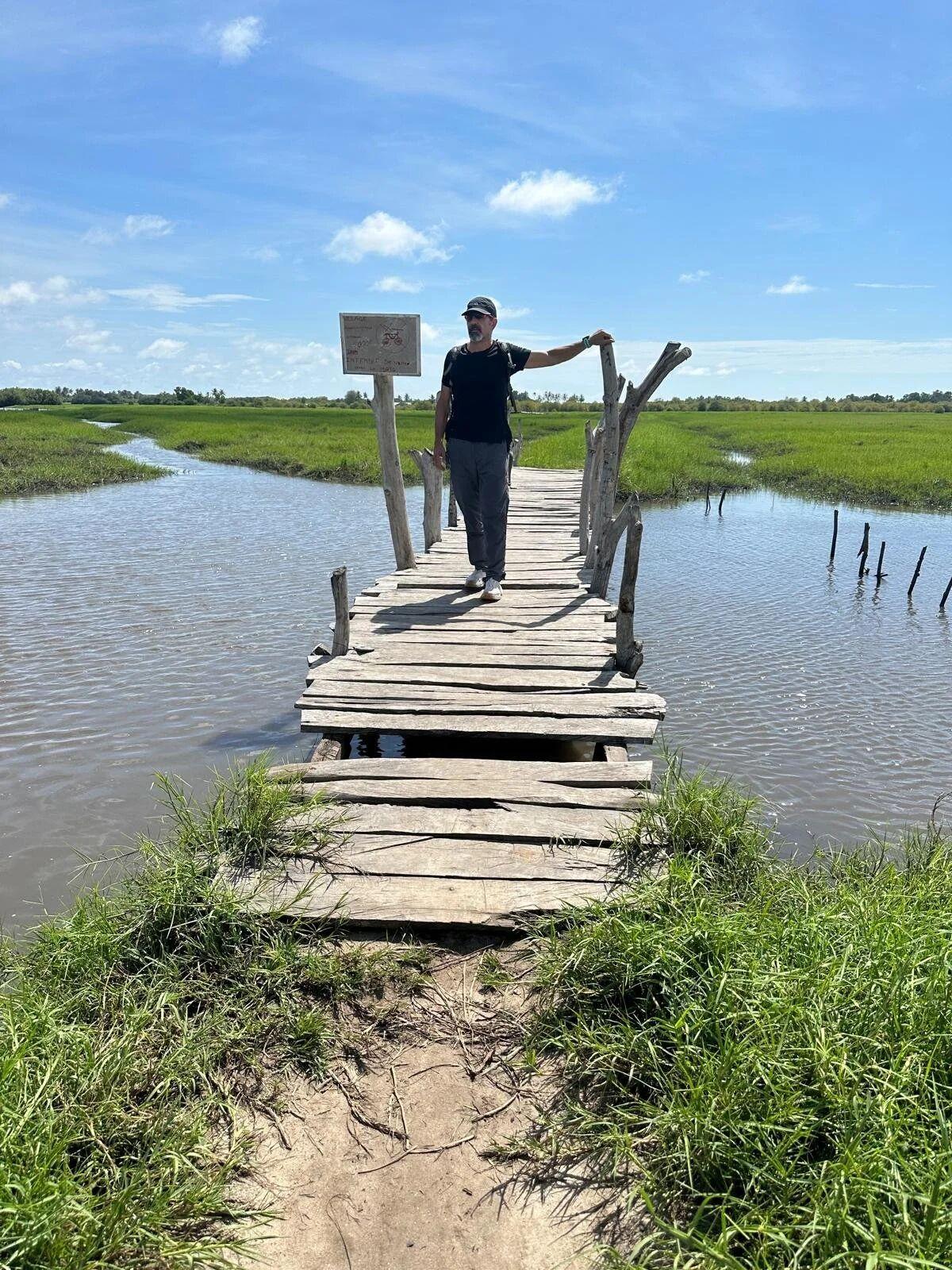 A wooden footbridge over the wetland