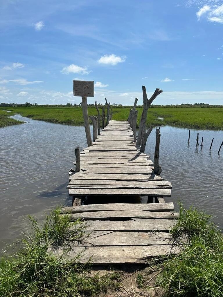 A rustic wooden bridge crossing wetland to a village